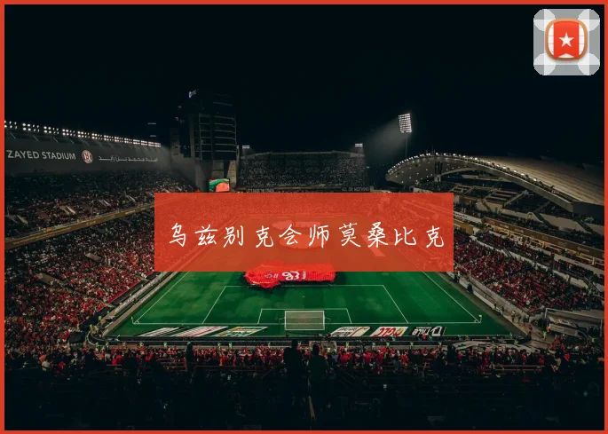 乌兹别克会师莫桑比克