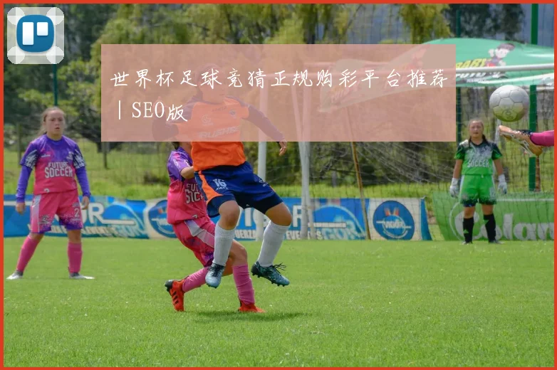 世界杯足球竞猜正规购彩平台推荐｜SEO版