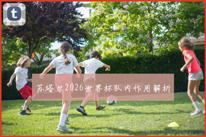 苏塔尔2026世界杯队内作用解析