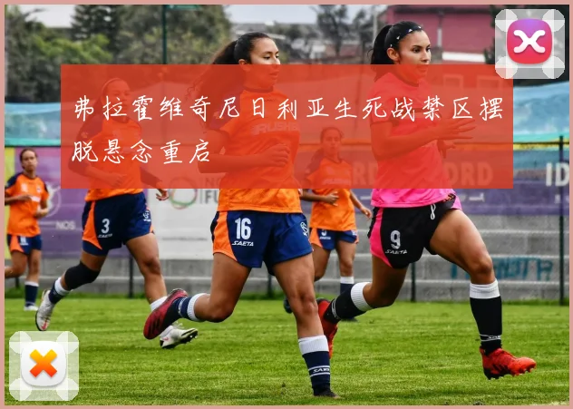 弗拉霍维奇尼日利亚生死战禁区摆脱悬念重启